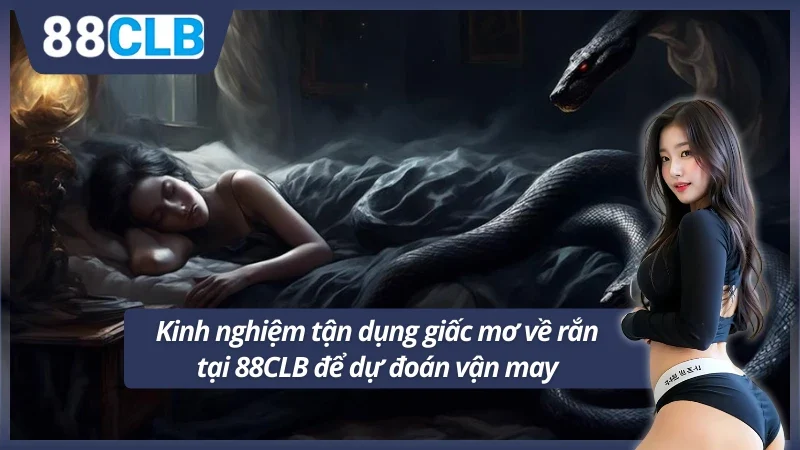 Kinh nghiệm tận dụng giấc mơ về rắn tại 88CLB để dự đoán vận may