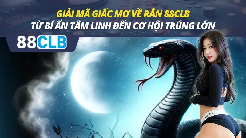 Giải Mã Giấc Mơ Về Rắn