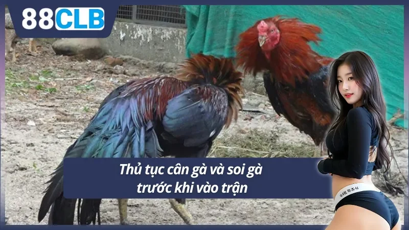 Quy trình kiểm tra chiến kê trước mỗi trận đấu 